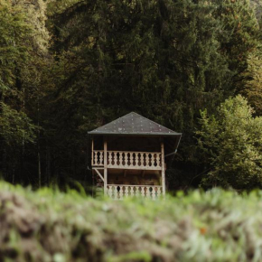Mazot du Criou - Samoëns